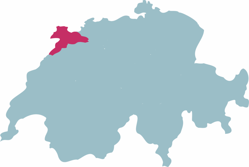 E-Commerce Neuchâtel
